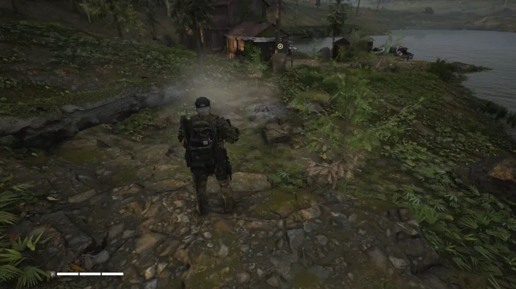 Dead Horse Swamp Bivouac
