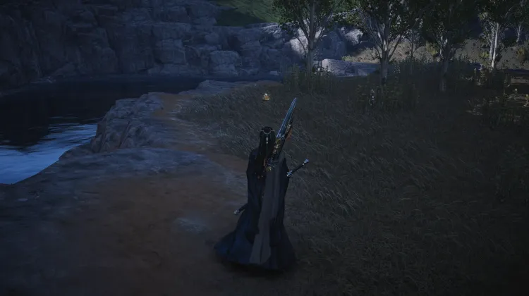 Crapaud Rayon de Lune