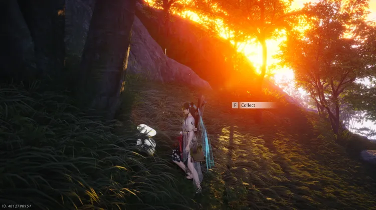 Une Révolution Savoureuse - Contes Errants