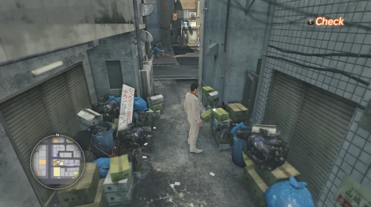 Erika Kitagawa Type C