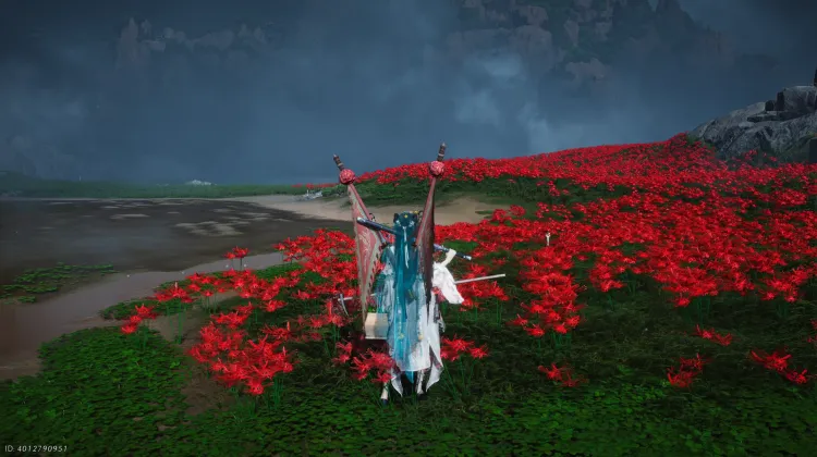 Un Souhait de Fleur - Contes Errants