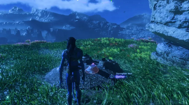 Stormglider Egg (Exquisite)