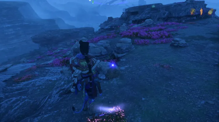 Coronis Egg (Exquisite)