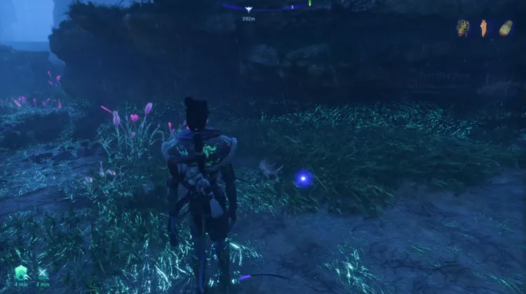 Petrified Bone (Exquisite) Fauna