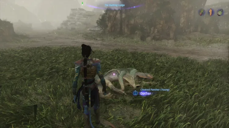 Cloaked Panther (Exquisite)