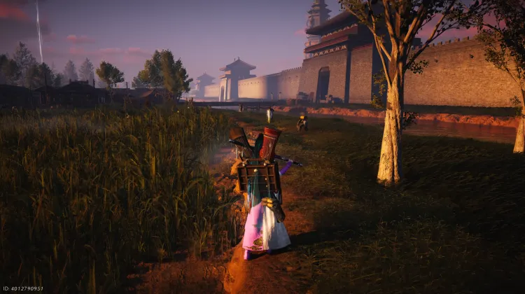 Crapaud Rayon de Lune