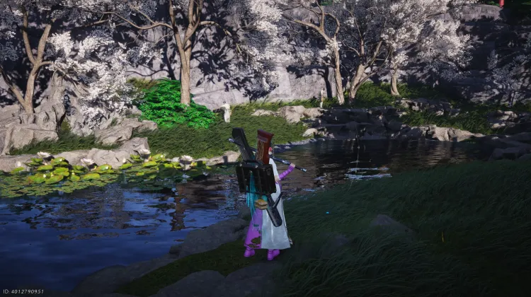 Crapaud Rayon de Lune