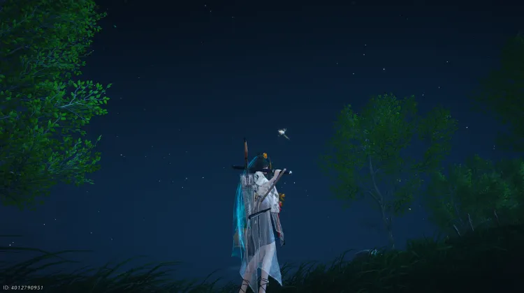 Brindille Apaise-Cœur