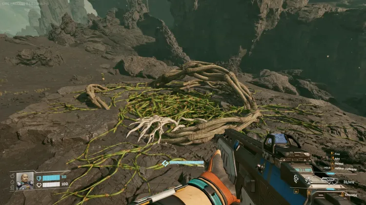 Cave