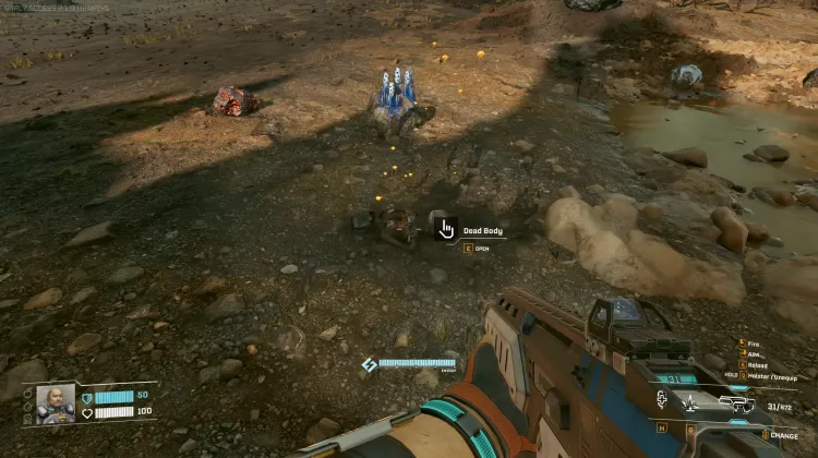 Dead Body
