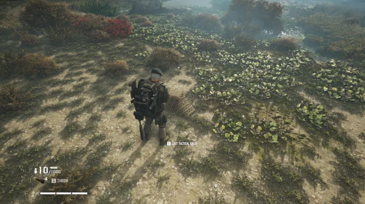 Tactical Caches