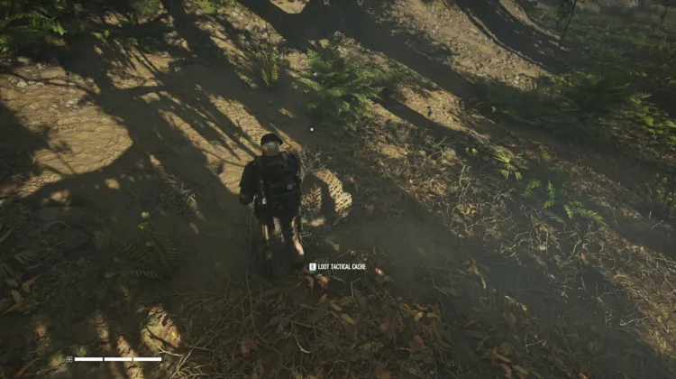 Tactical Caches