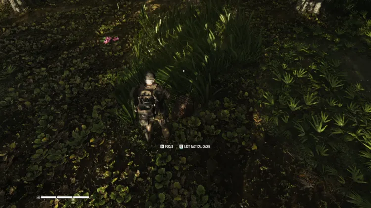 Tactical Caches