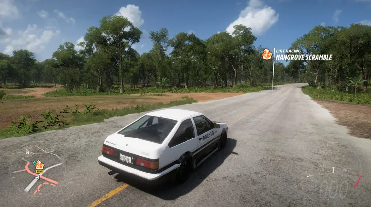 Mangroven-Kletterpartie