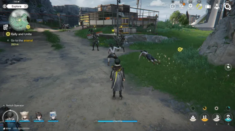 Knochenzerschmetterer-Räuber