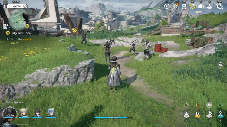 Knochenzerschmetterer-Räuber