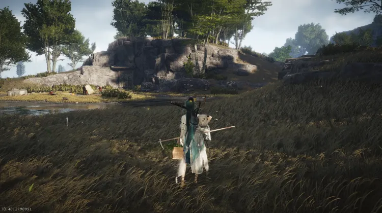 Crapaud Rayon de Lune