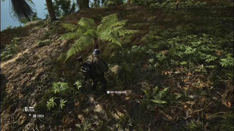 Tactical Caches