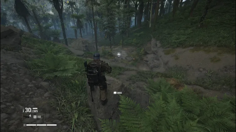 Cemetery Forest Bivouac