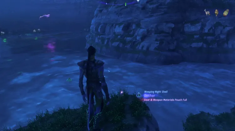 Weeping Night Shell (Exquisite)