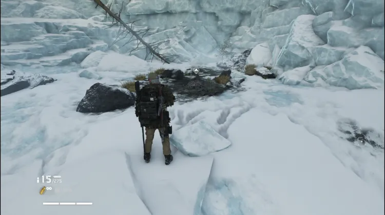 Royal Ridge Bivouac