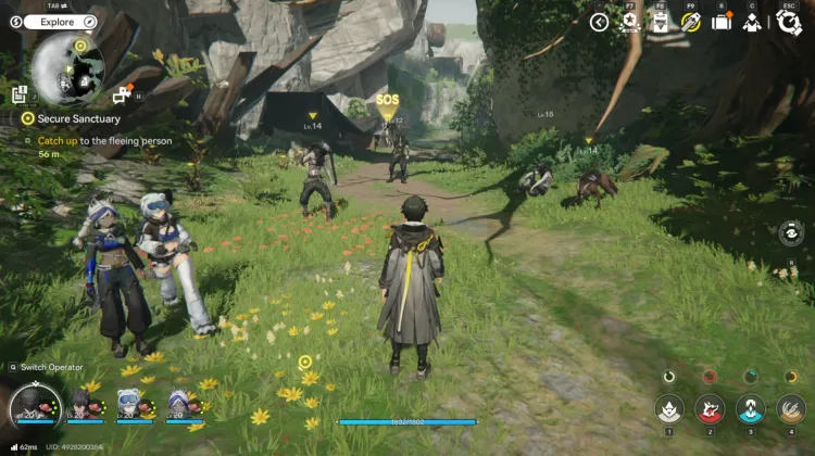 Knochenzerschmetterer-Räuber