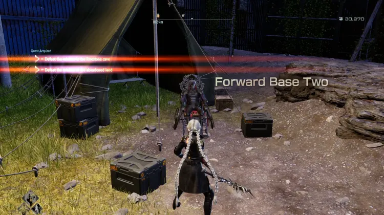 Rodowód Patentia: Lyle 1