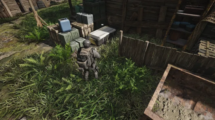 Cargo Pants
