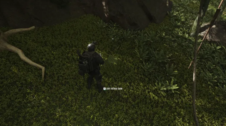 Tactical Caches