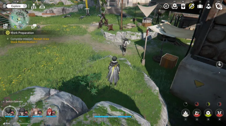 Knochenzerschmetterer-Räuber