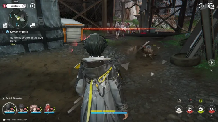 Knochenzerschmetterer-Räuber