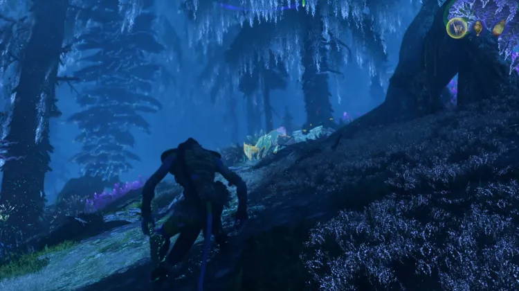 Meer Deer (Superior)