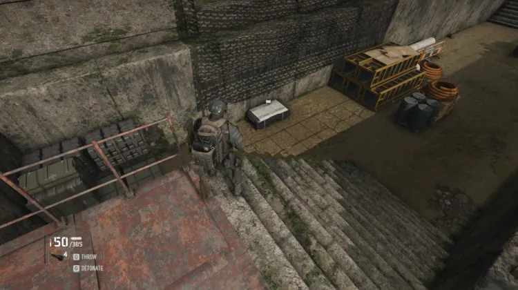 Crye AVS
