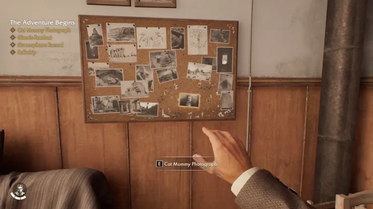 Cat Mummy Photograph