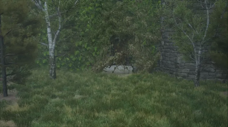 Hidden Herbology Corridor