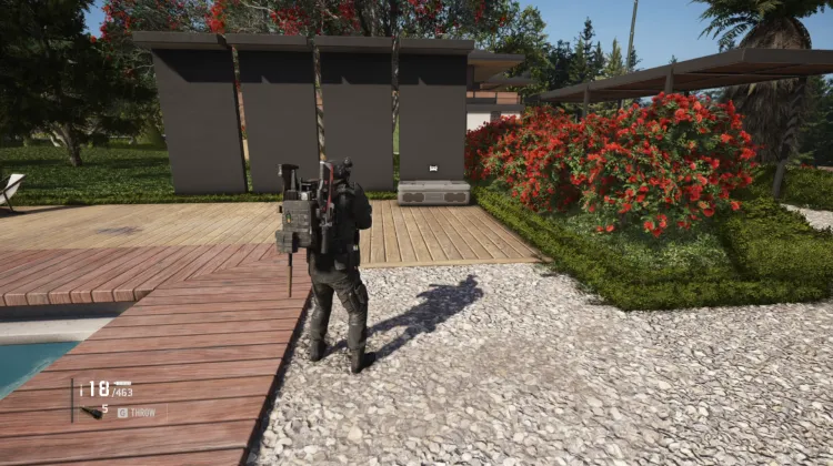 6P41 (LMG)