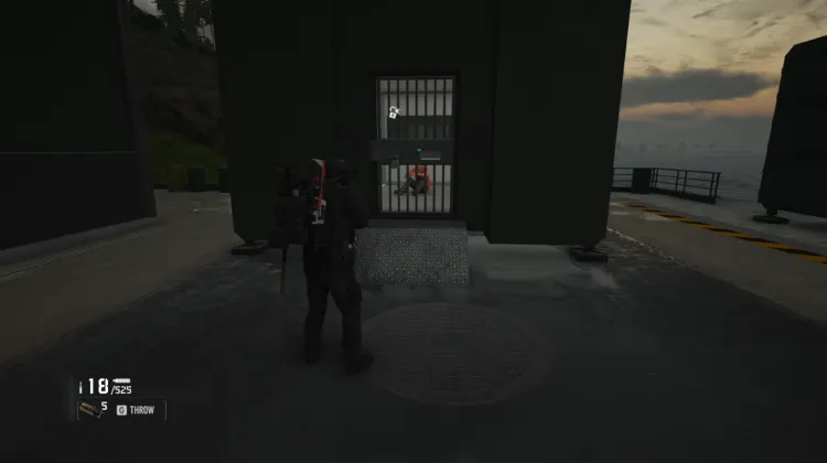 Hostage