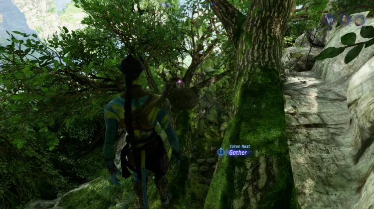 Yoten Egg (Exquisite)