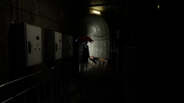 1 Deszczowy Tnący i 1 Deszczowy Wędrowiec.