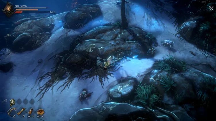 Artemisia Kraut/Wurzel