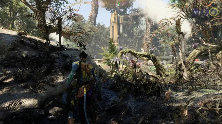 Gaz Toplayıcı Yankısı