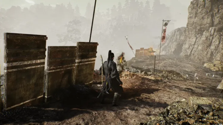 갑의 호랑이를 그리다