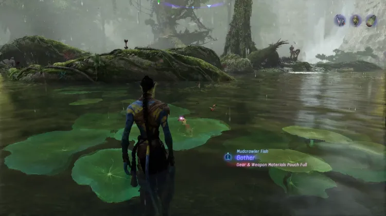 Mudcrawler Fish (Superior)