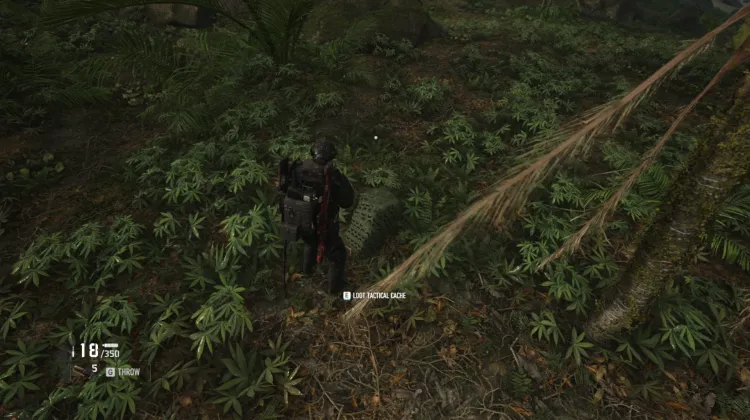 Tactical Caches