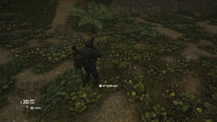 Tactical Caches