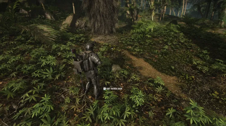 Tactical Caches