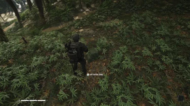 Tactical Caches