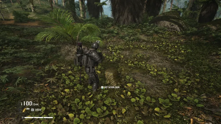 Tactical Caches