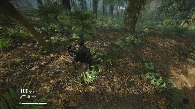 Tactical Caches