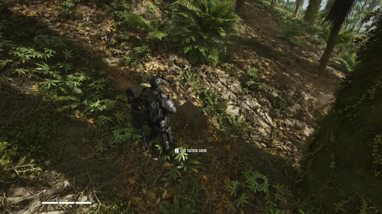 Tactical Caches